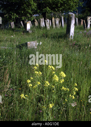 Vieux cimetière judaïque près de Brasov Moldavie côté est de Roumanie Roumanie l'Europe de l'Europe Banque D'Images