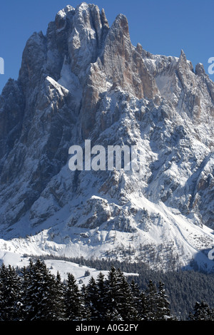 Planeur face nord du Sassolungo Langkofel / dans les Dolomites italiennes Banque D'Images