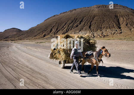 Le transport rural au Tibet près de la ville de Gyantse dans la région autonome du Tibet en Chine Banque D'Images