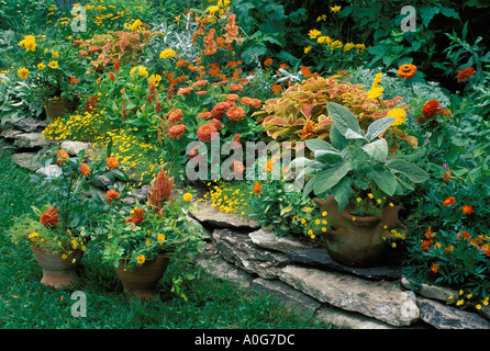 Muret en pierre par jardin fleuri de jaune et orange fleurs d'argent avec les plantes en pot, Missouri USA Banque D'Images