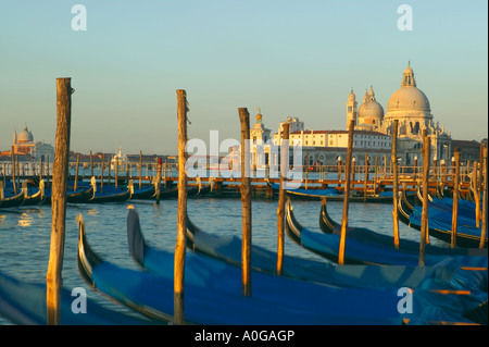 Amarré à côté de gondoles sur le Grand Canal. Vue de l'église de Santa Maria della Salute, Venise, Italie. Banque D'Images