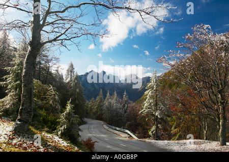 Le côté sud de la Pass Vrsic, Haute-Carniole, la Slovénie. Voir l'Bavski Grintavec vers les arbres sont recouvert de glace Banque D'Images