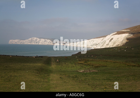 Photographie de la Baie d'eau douce de l'île de Wight A3055 près de Compton Cine Banque D'Images