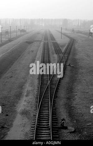 Vue depuis la tour de guet, de la fin de la ligne de chemin de fer à Auschwitz - Birkenau camp de concentration, près de Cracovie, Pologne. Banque D'Images