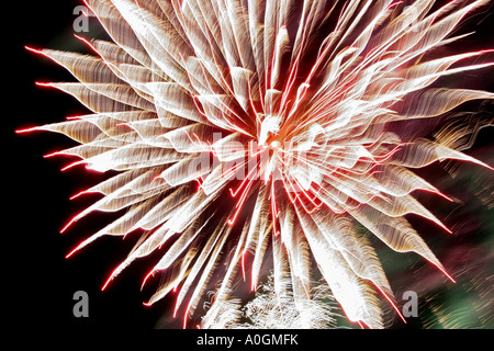 Ressemble à une fleur dahlias mais est un feu d'artifice qui explose dans le ciel Banque D'Images