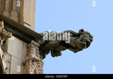 Gargoyle créature décoration sur York Minster Banque D'Images