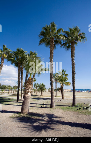 Ville de LARNAKA PLAGE EN FACE DE L'BOUTIQUES ET RESTAURANTS CHYPRE Banque D'Images