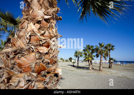 Ville de LARNAKA EN FACE DE LA PLAGE DES COMMERCES ET DES RESTAURANTS, CHYPRE Banque D'Images