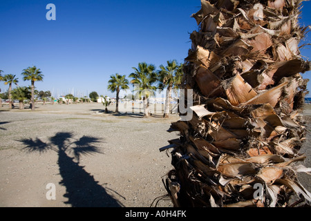 Ville de LARNAKA PLAGE EN FACE DE L'BOUTIQUES ET RESTAURANTS CHYPRE Banque D'Images