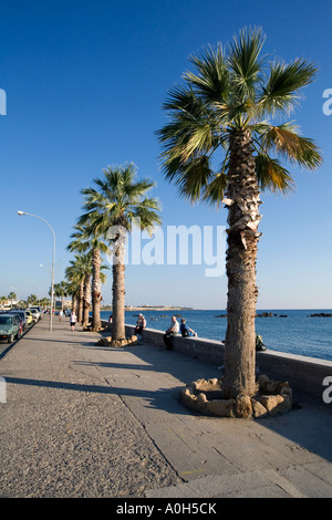 Palmiers LE LONG DU FRONT DE MER à Kato Paphos, Chypre Banque D'Images