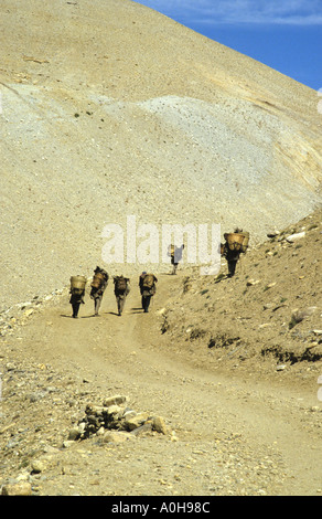 Porteurs transportant des charges de la vallée de la Kali et sur l'oasis LIPU Lek col Tibet Banque D'Images