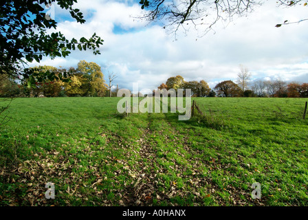 Styal Cheshire England UK village rural terrain campagne agricole l'Europe cultivée chemin de piste arables arbre ciel bleu nuages Banque D'Images