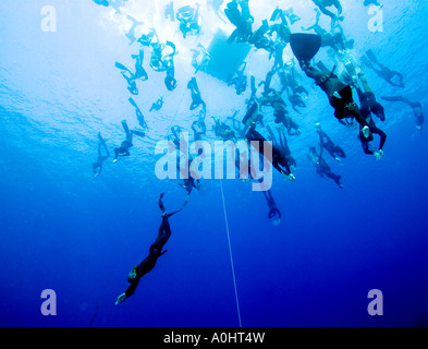 Autour d'une centaine de plongeurs gratuit dcecnd tous ensemble à 30 mètres Sharm el-Sheikh Égypte Nov 2006 Photo par Adam Butler Banque D'Images