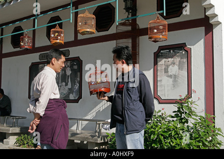 Chine Hong Kong Mon marché aux oiseaux Kok Yuen Po Street hommes chinois avec leurs cages d'oiseaux Banque D'Images