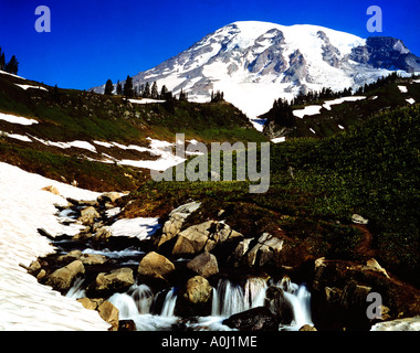 Edith Creek coule sur un lit rocheux à Mount Rainier National Park dans l'État de Washington Banque D'Images