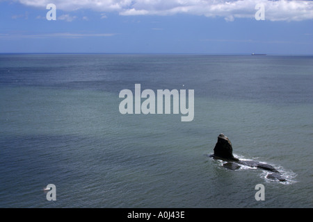 Yorkshire ANGLETERRE North York Moors National Park vue à l'ensemble du littoral de la Baie d'Saltwick près de Whitby Banque D'Images