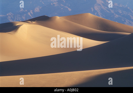 Télévision mesquite sand dunes Death Valley National Park Californie usa Banque D'Images