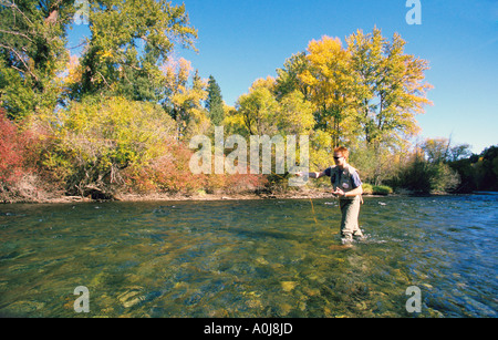 L'homme pêche à la mouche dans une rivière Banque D'Images