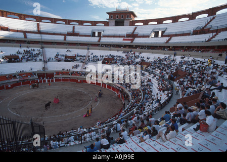 Mexique,Mexicain,Pan,hispanique Mestizo,Aguascalientes,Plaza de Toros Monumental,présente jeunes nobillero novices,corrida,Mex053,Mex053 Banque D'Images