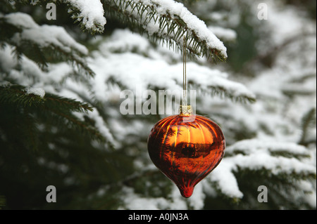 En forme de goutte Orange bauble hanging sur une branche du sapin de Noël couvert de neige Banque D'Images