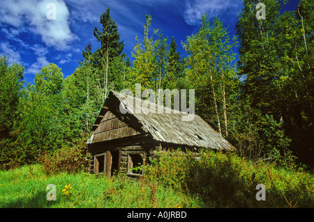 Vieille cabane dans les bois 2 Banque D'Images