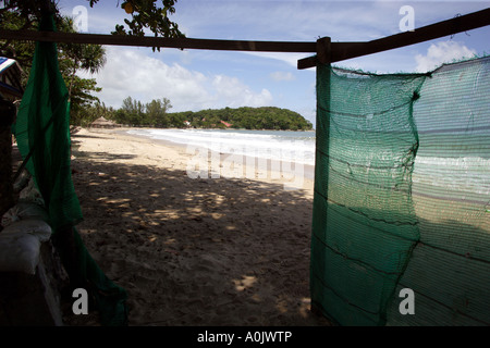 Plage déserte avec refuser dans Koh Lanta Yai Ko Lanta Yai cette île dans le sud de la Thaïlande a été touché par le tsunami en 2004 Banque D'Images