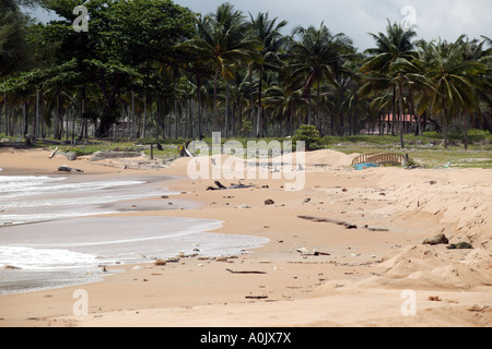 Plages endommagées à Khao Lak Thaïlande du Sud Cette zone a été touchée par le tsunami en 2004 Banque D'Images