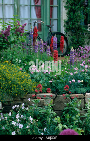 Lupins rouge et bleu, rose géranium en frontière, en face de la fenêtre cottage Banque D'Images