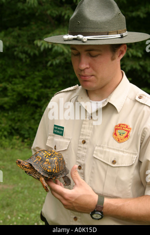 Ohio Wellington Findley State Park,nature parc naturel ranger naturaliste,Eastern box tortue Terrapene carolina carolina,reptile animal,homme hommes Banque D'Images