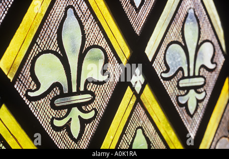 Angle de détail de vitraux à motifs diamants victorienne avec répétition d'une fleur-de-lys Banque D'Images