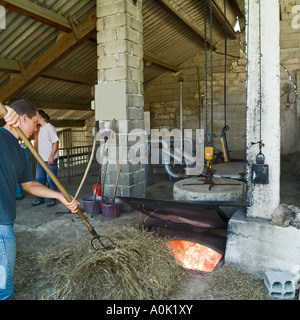 L'alimentation des travailleurs la chaudière de feu avec les restes de lavande, Distillerie du Vallon, de l'huile de lavande distillerie, Sault, Vaucluse, Provence, France Banque D'Images