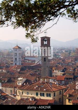 Vue sur les toits de la tour Torre de Lucques tour Guinigi Lucca Toscane Italie la verticale Banque D'Images