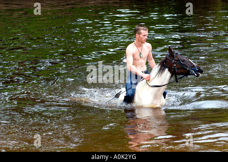 Un homme monte un cheval dans une rivière Banque D'Images