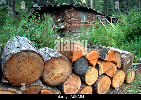 Montana chalet isolé de la forêt avec des tas de journaux Banque D'Images