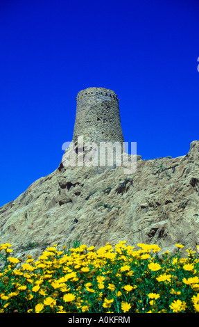 Genovese watch tower sur ille de la pietra. ile rousse, Balagne, Corse, France, Europe Banque D'Images