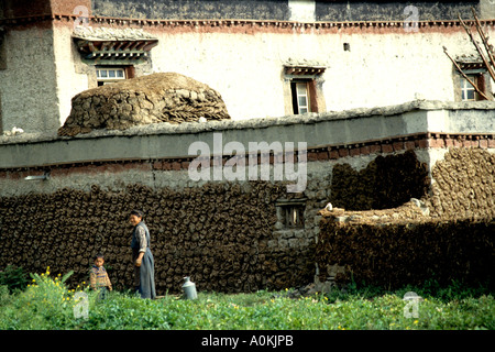 Les femmes tibétaines bouse de Yak de séchage pour le carburant sur les murs de leur chambre. C'est la principale source de combustible à haute altitude au Tibet Banque D'Images