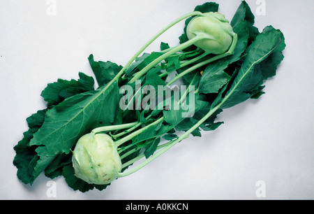 Chou-rave Brassica oleracea gongylodes Banque D'Images