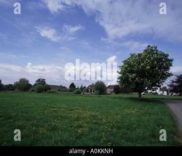 Le plus grand village green en Angleterre, à Frampton sur Severn Banque D'Images