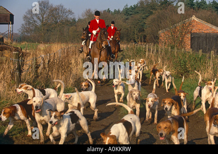 La chasse au renard dans le Leicestershire Angleterre Quorn hunt Banque D'Images