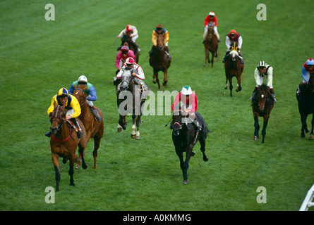 La fin d'une course à l'hippodrome d'Epsom en Angleterre Banque D'Images