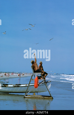 Stone Harbor NJ New Jersey beach patrol life guards sur lookout perchaude nourrir les mouettes Banque D'Images