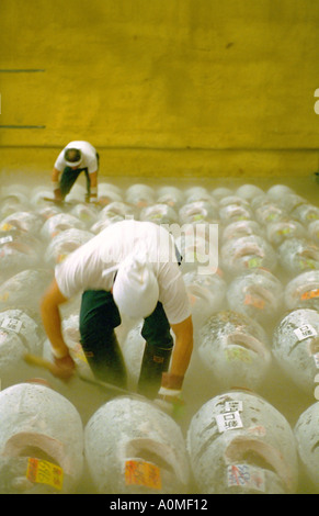 L'inspection le thon au marché aux poissons de Tsukiji Tokyo Japon Banque D'Images