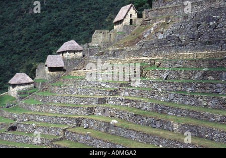 Les terrasses agricoles à la cité inca de Machu Picchu au Pérou Banque D'Images