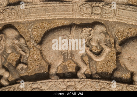 Détail de l'éléphant de Moonstone. Le Vatadage, le Quadrangle, Polonnaruwa, Sri Lanka Banque D'Images