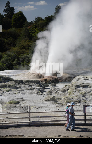 Pohutu et Prince de Galles geysers Whakarewarewa Plumes Te Nouvelle-zélande Banque D'Images