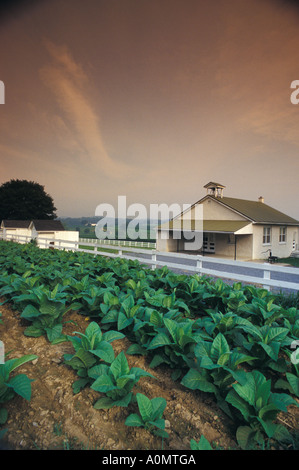 Amish one room school house Lancaster PA Pennsylvania Banque D'Images