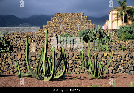 Le Parc Ethnographique Güimar pyramides en Tenerife Espagne Banque D'Images