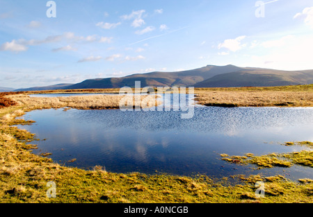 Voir plus de Mynydd commun Illtyd près de Brecon Powys Pays de Galles UK à Pen Y Fan et à du maïs Banque D'Images