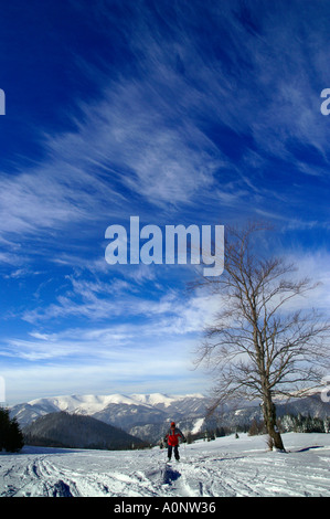 Ski de fond en Nizke Tatry parc national, Slovaquie Banque D'Images