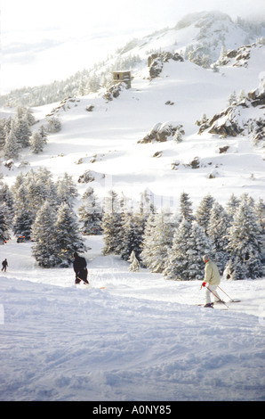 Une forêt de pins couverts de neige dans une station de ski avec des skieurs turcs après Trail en premier plan Banque D'Images